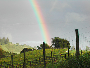 rainbow